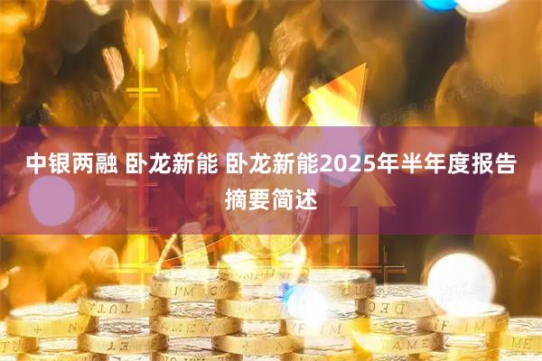中银两融 卧龙新能 卧龙新能2025年半年度报告摘要简述