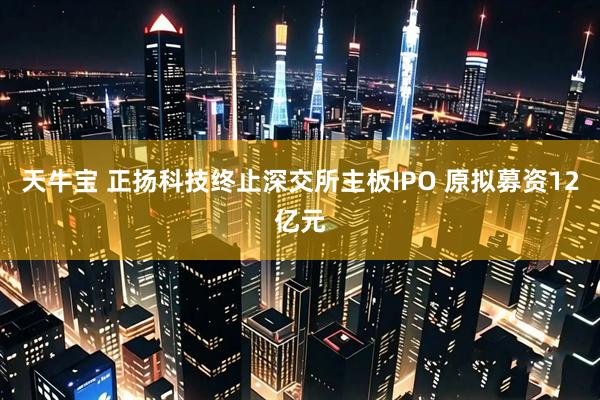 天牛宝 正扬科技终止深交所主板IPO 原拟募资12亿元
