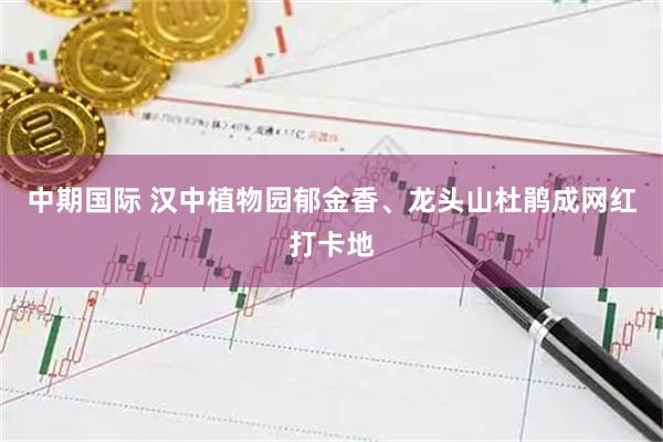 中期国际 汉中植物园郁金香、龙头山杜鹃成网红打卡地