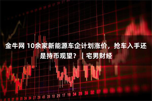 金牛网 10余家新能源车企计划涨价，抢车入手还是持币观望？｜宅男财经
