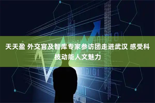天天盈 外交官及智库专家参访团走进武汉 感受科技动能人文魅力